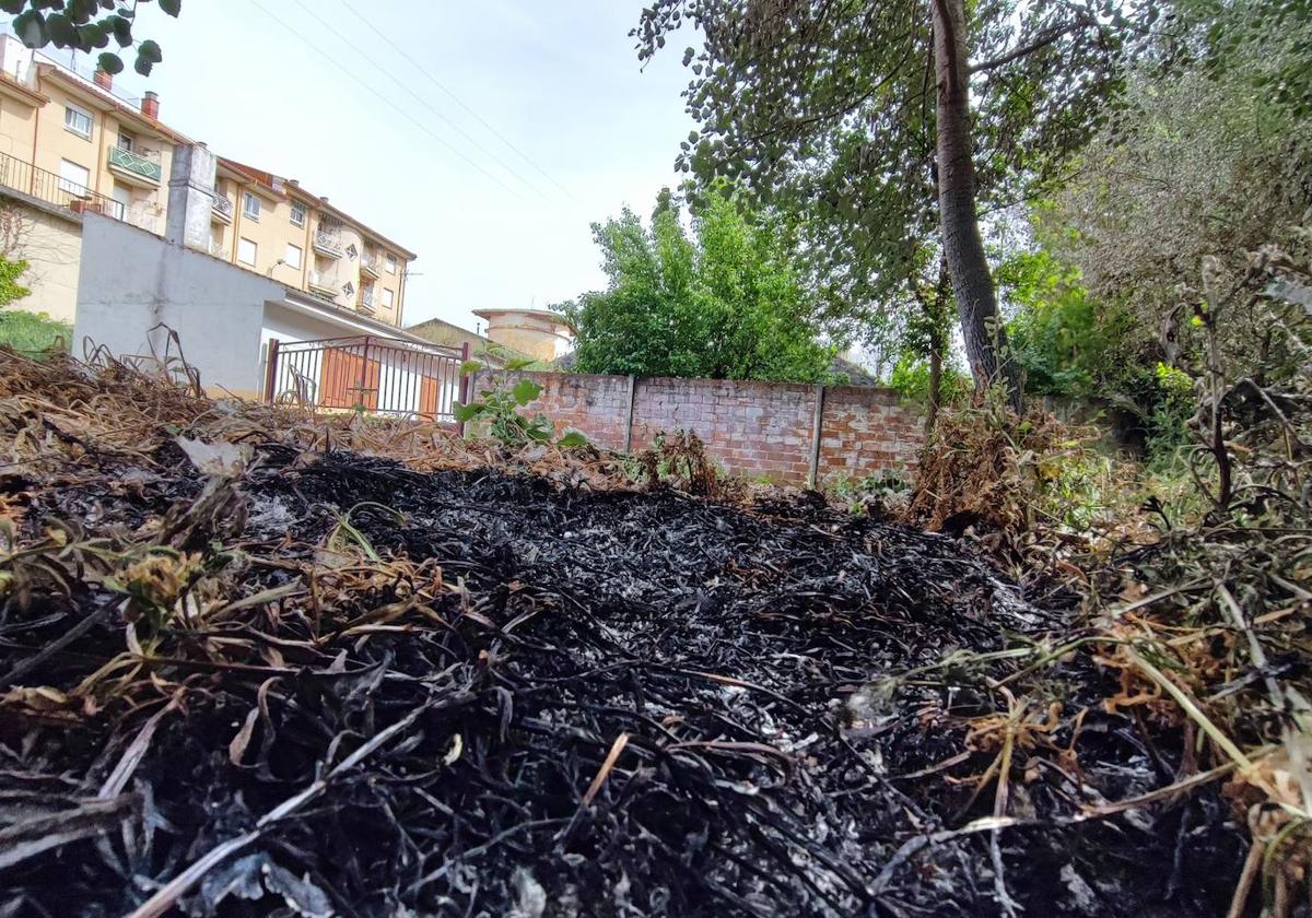 Incendio en Valencia de Don Juan