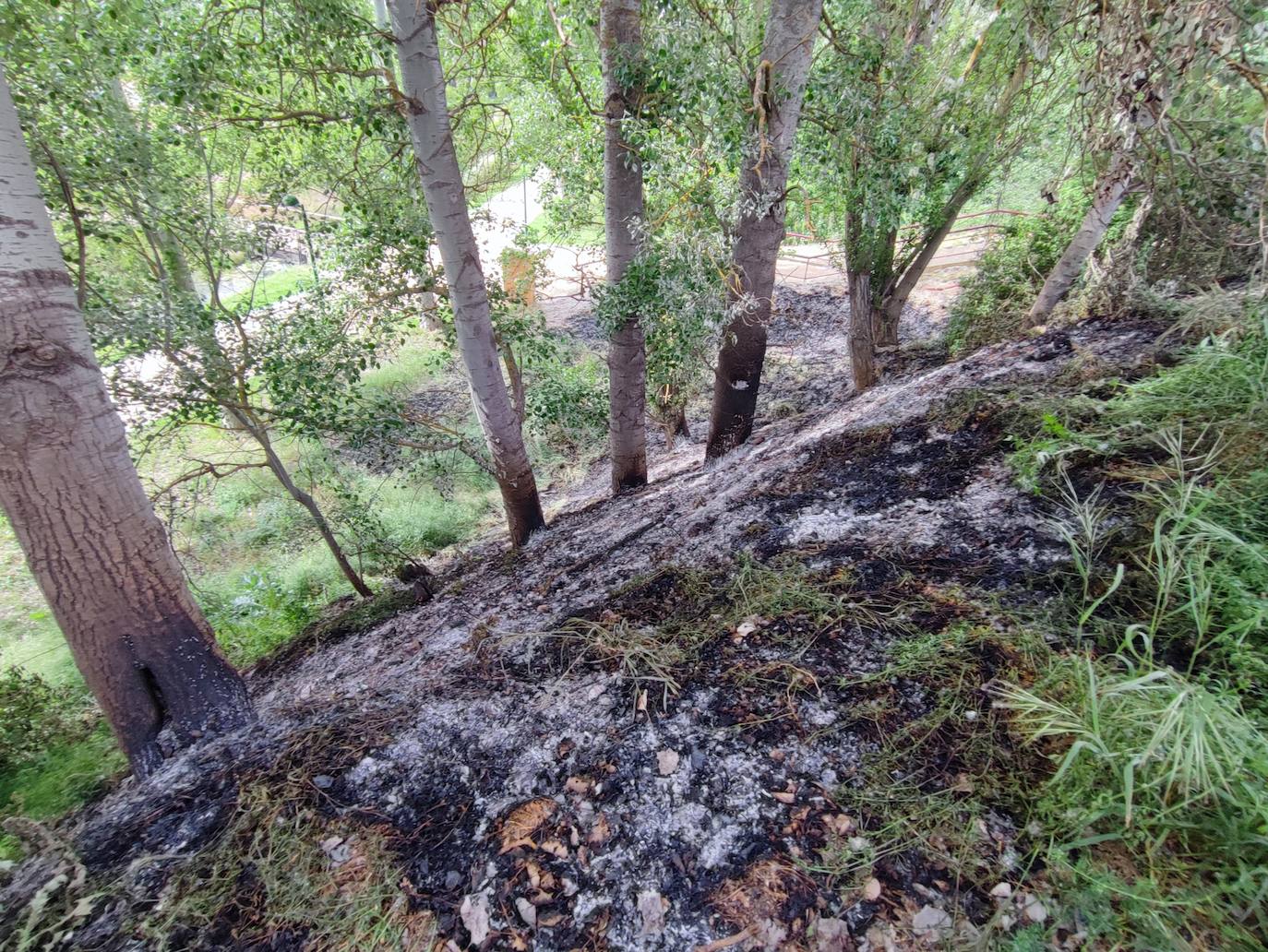 Incendio en Valencia de Don Juan