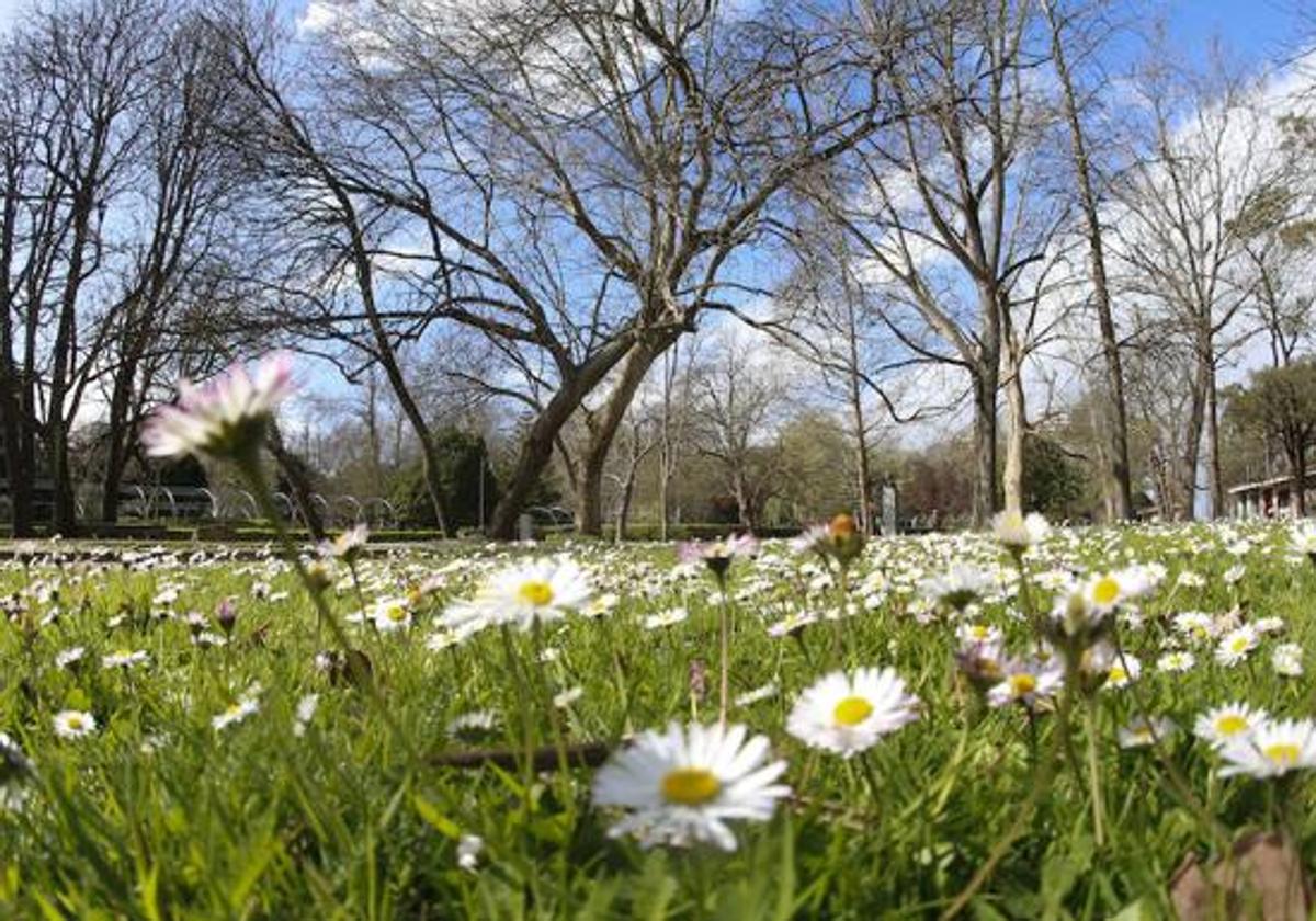 La primavera en León.