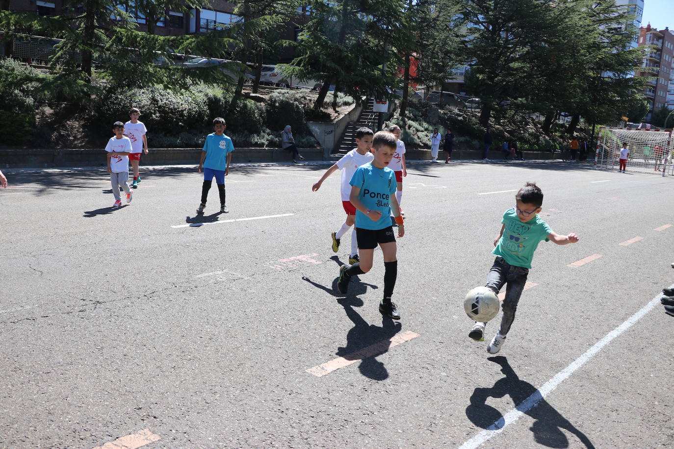 Municipalia vuelve a ser protagonista