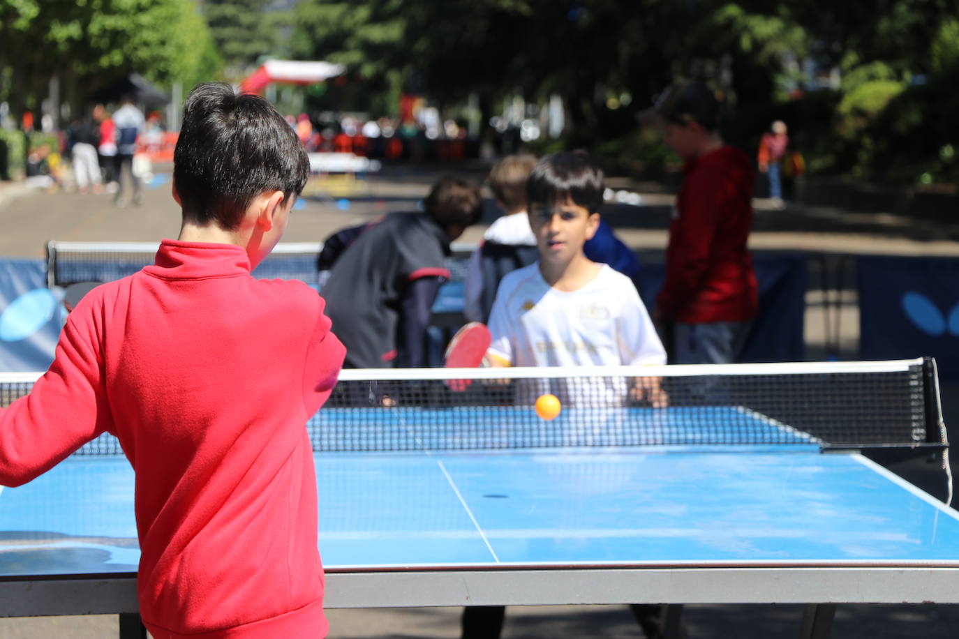 Municipalia vuelve a ser protagonista