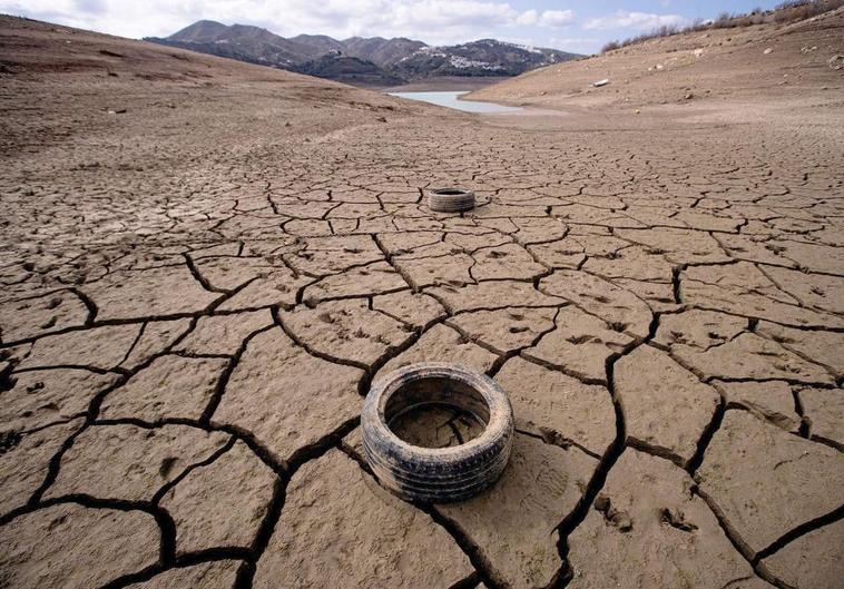 El efecto de la sequía se traslada de los pantanos al campo, en los que la ausencia de lluvia está provocando millonarios daños.