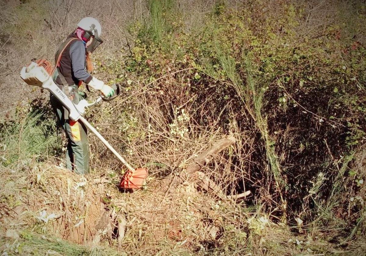 Las cuadrillas se ocuparán de la mejora en las zonas en labores de prevención de incendios.