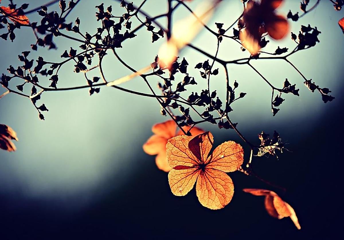 El tiempo en León parece de otoño a pesar de ser mayo.