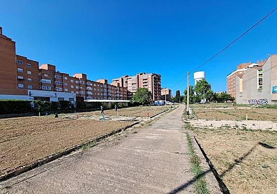 El PSOE de San Andrés propone más rutas verdes y nuevos huertos urbanos