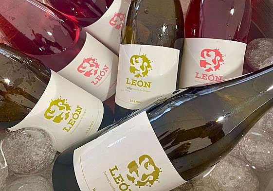 Imagen de archivo de unos vinos de la DO León.
