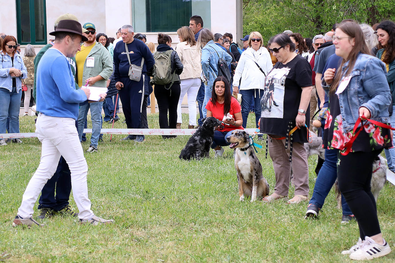 VI Feria del Carea de Cerezales del Condado