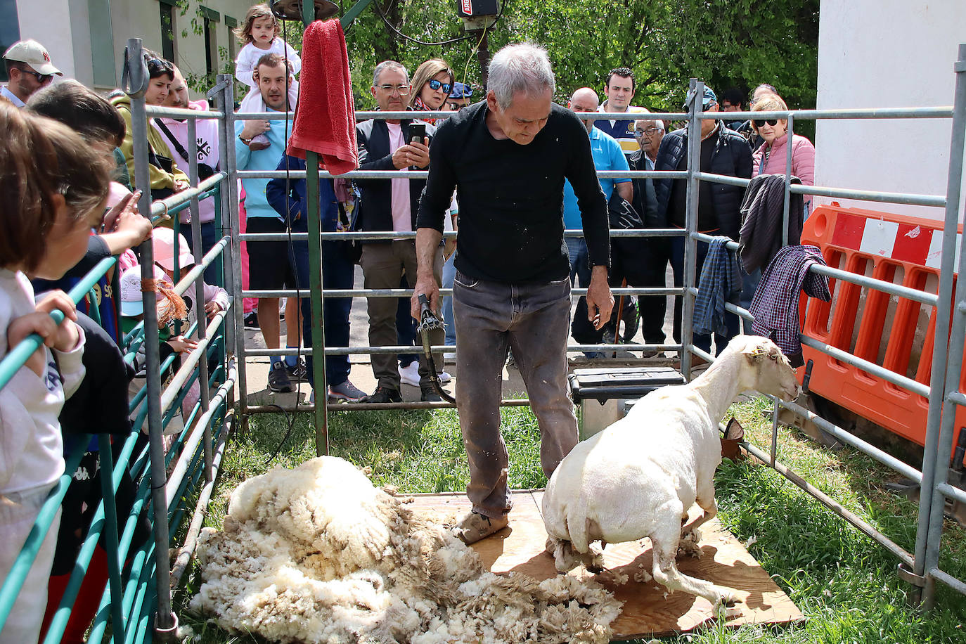 VI Feria del Carea de Cerezales del Condado