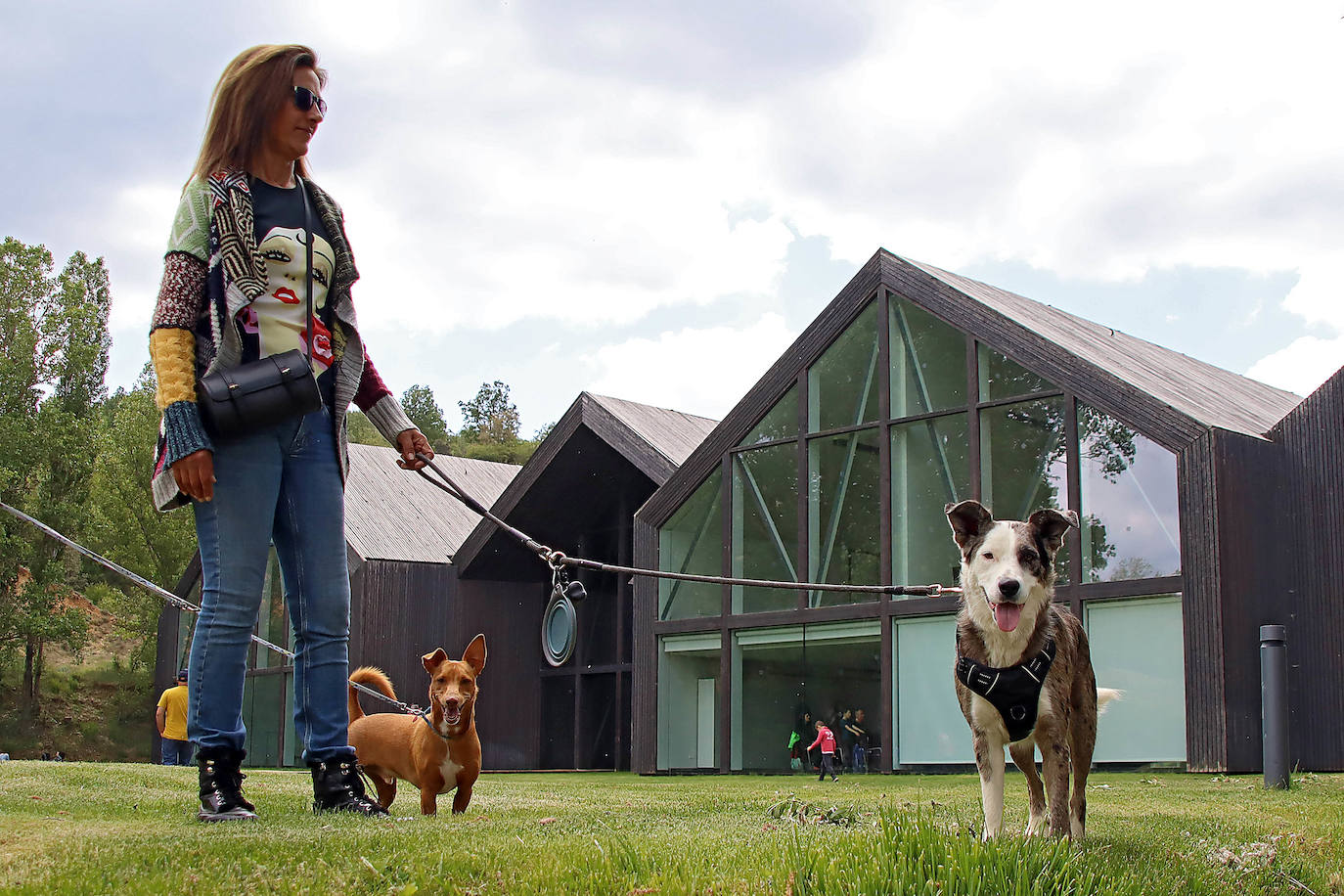 VI Feria del Carea de Cerezales del Condado