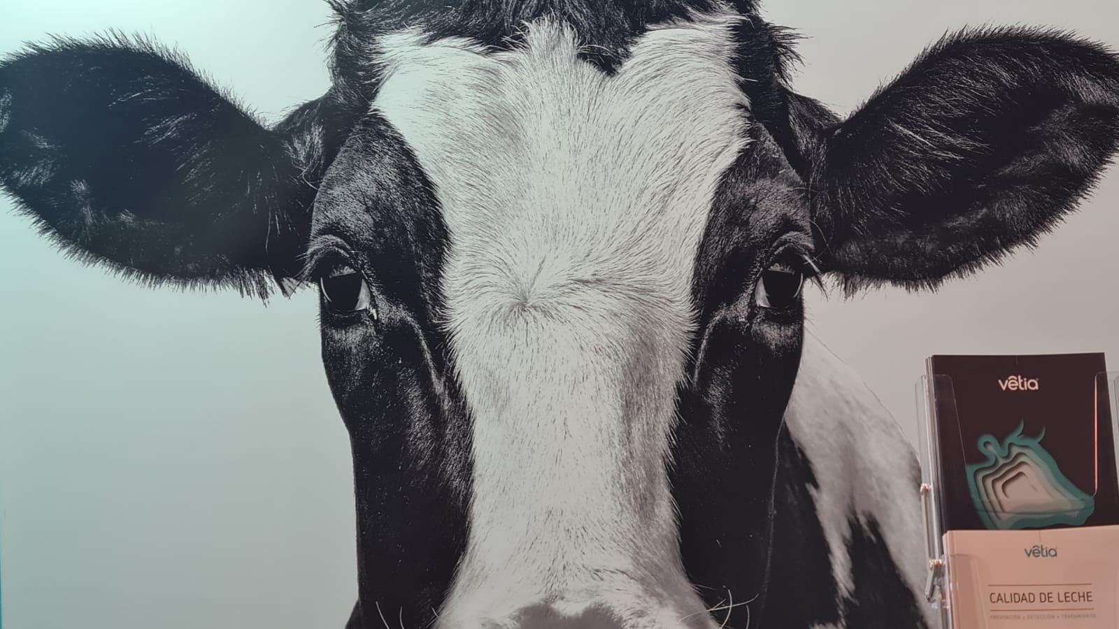 XVV Congreso Internacional de Medicina Bovina en León