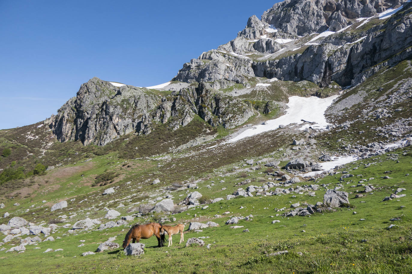 La llamada de Picos de Europa