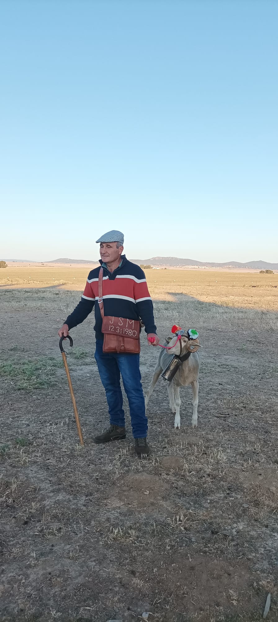 1.700 ovejas hacia León en busca de agua