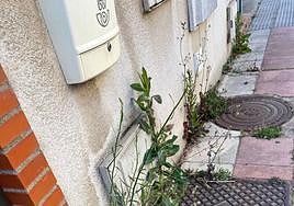 VOX San Andrés promete solucionar la limpieza de las calles.