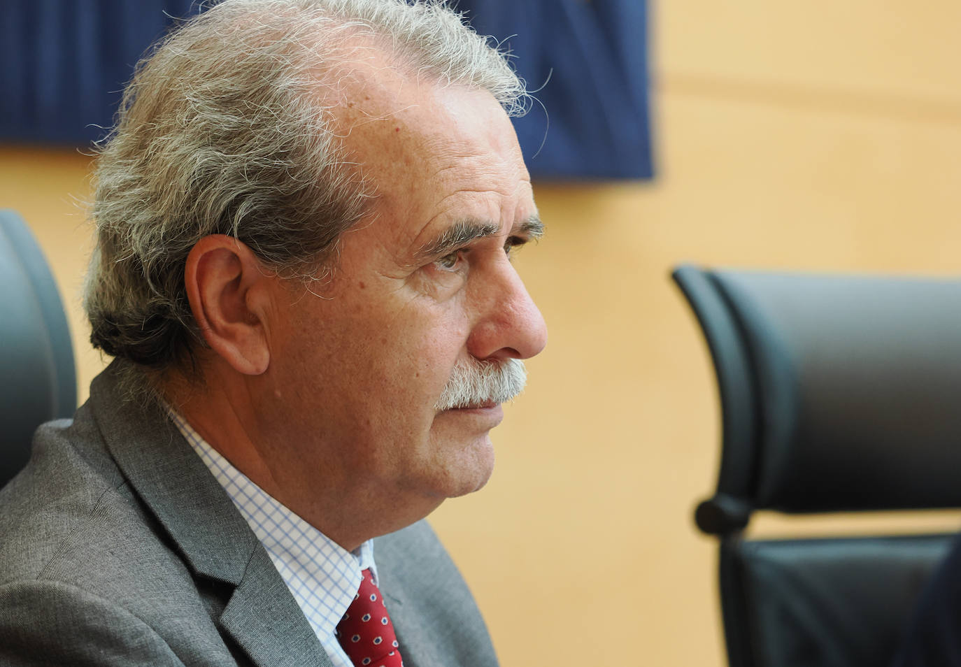 Comparecencia del presidente del Consejo Consultivo