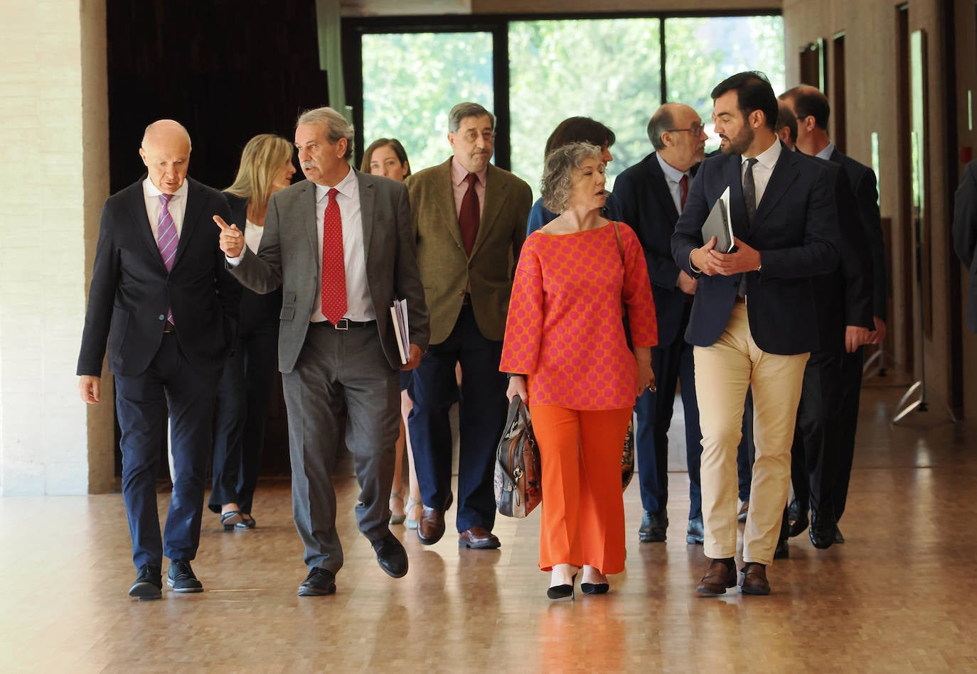 Comparecencia del presidente del Consejo Consultivo