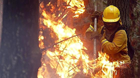 7,5 millones para cinco nuevas brigadas en la lucha contra incendios, una de ellas en León