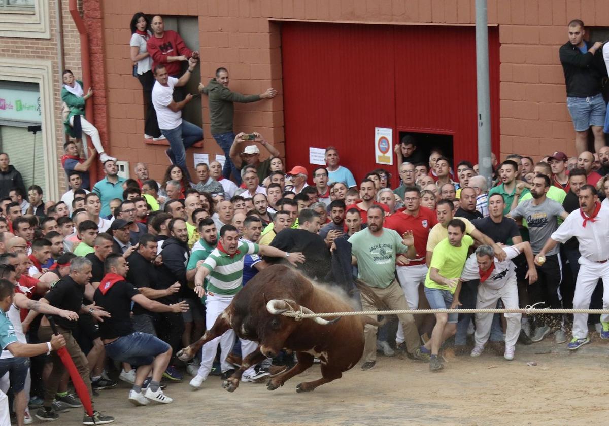 El recorrido de 'Rencoroso' se saldó con un hombre de 44 años con un traumatismo craneoencefálico y uno de 60, con herida por asta de toro en una pantorrilla.