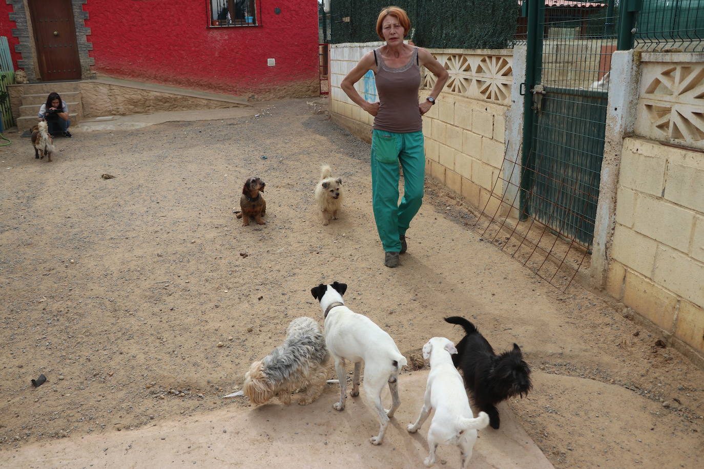 Hotel canino Las Lomas