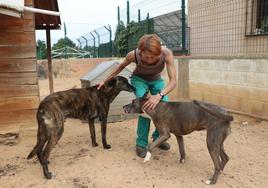 María Ferrerira, dueña del Hotel canino Las Lomas en León, saluda a dos de sus inquilinos.