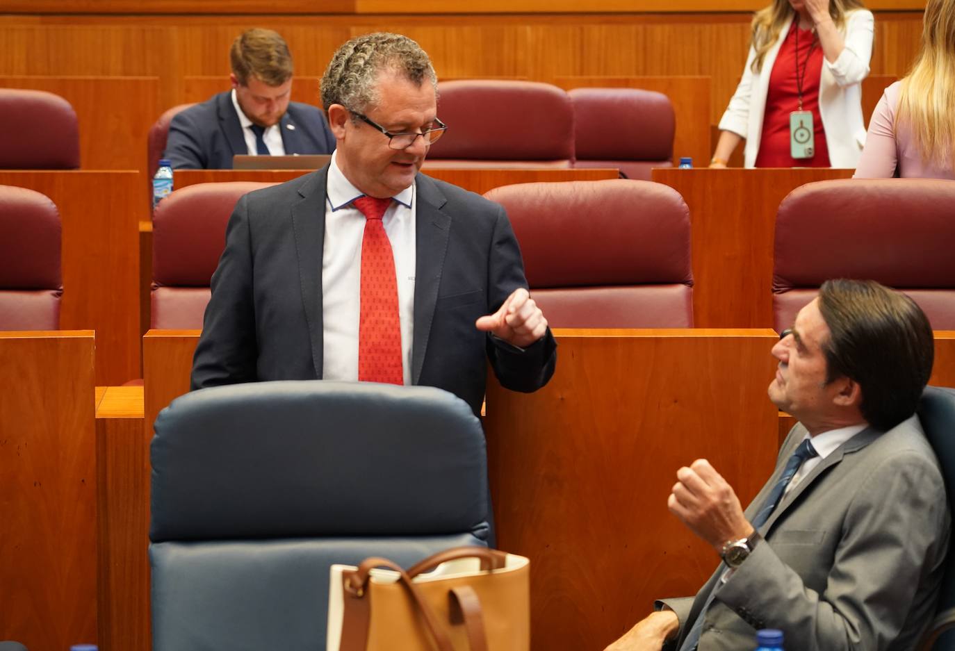 Pleno de las Cortes de Castilla y León