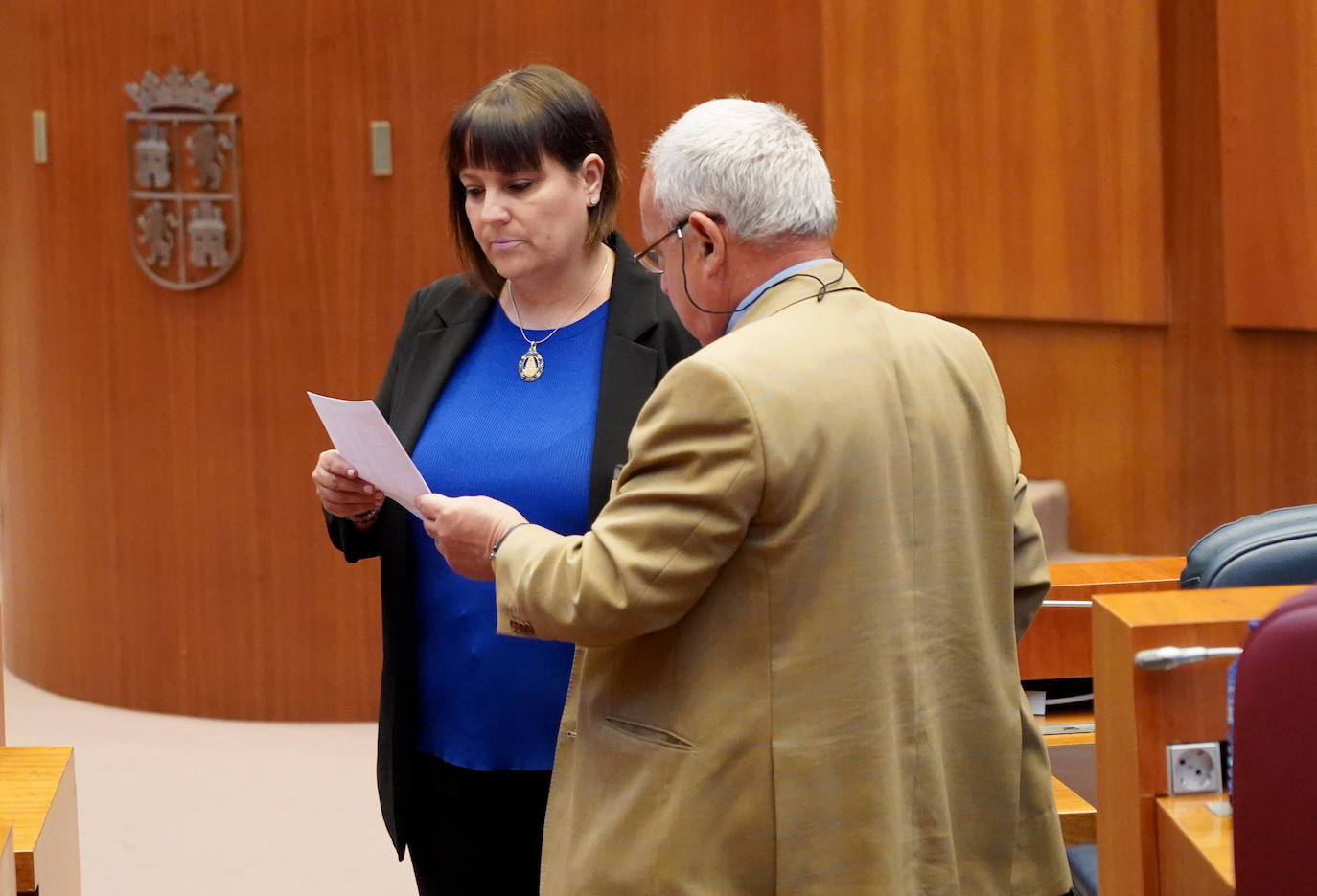 Pleno de las Cortes de Castilla y León