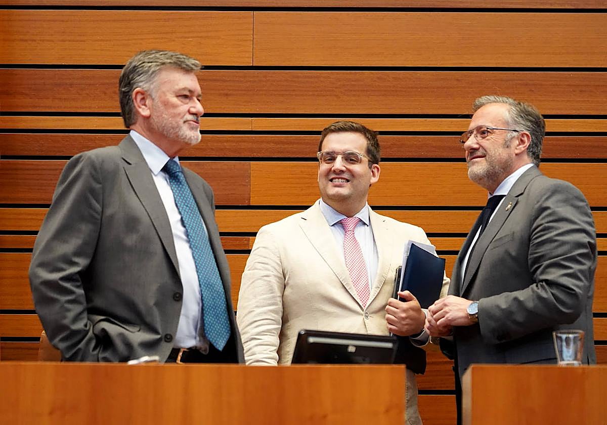 Pleno de las Cortes de Castilla y León