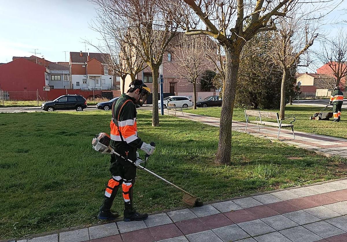 Mejora de los espacios verdes con el programa San Andrés Verde.