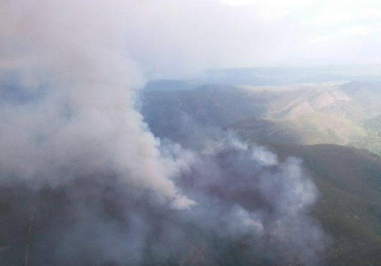 El fuego de Villar de Acero calcinó 10 hectáreas de brezo