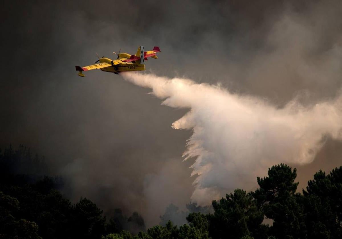 Un hidroavión colabora en la extinción de un incendio.