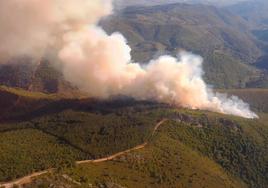 El Defensor del Pueblo pide más prevención de incendios forestales.