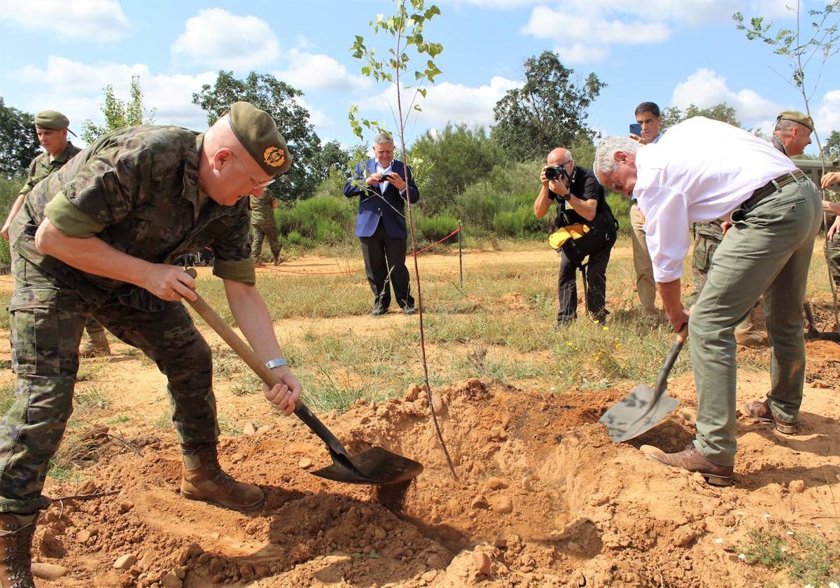 Plantación de árboles en el entorno de la base militar.