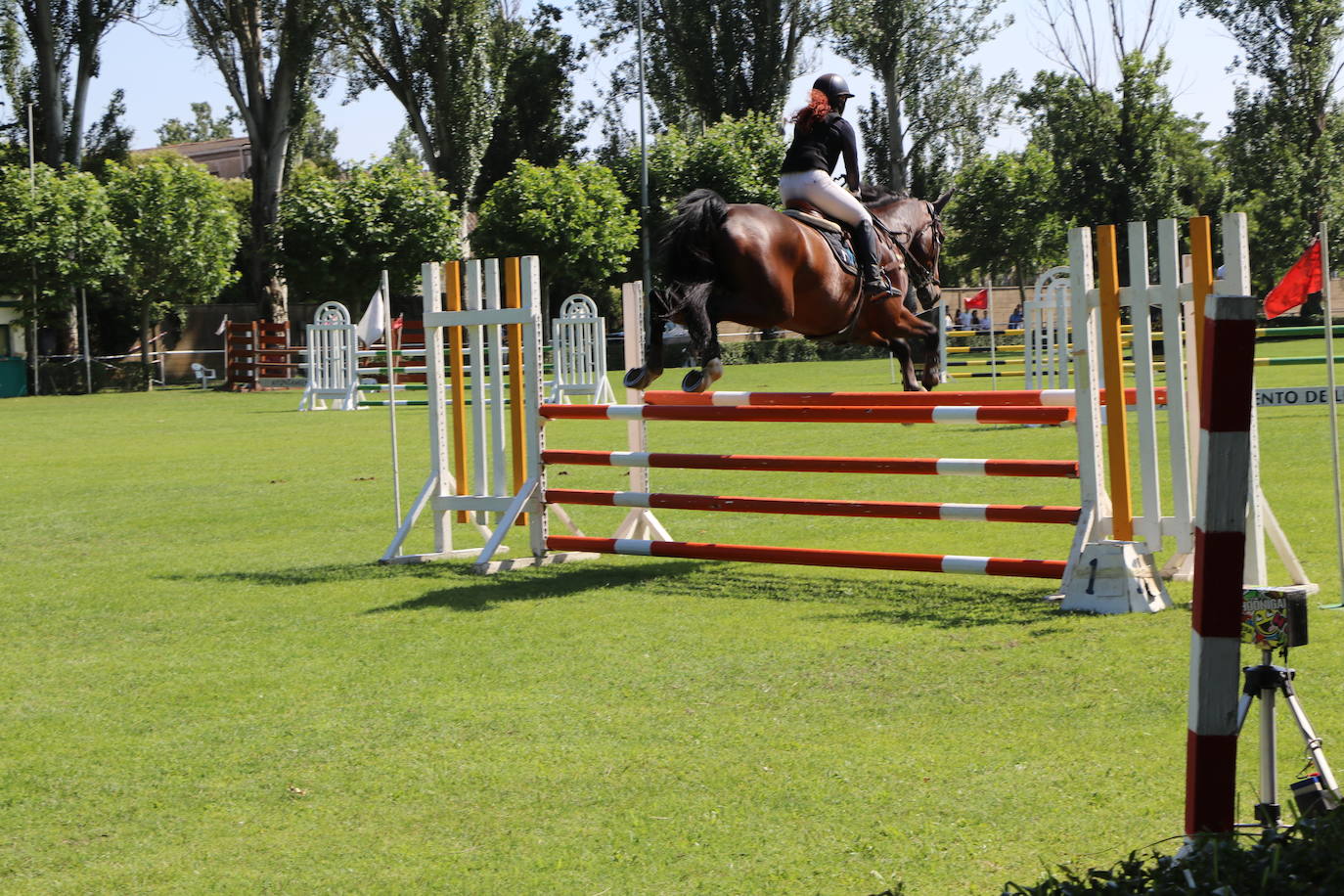 Concurso Nacional de Saltos en el Hípico de León