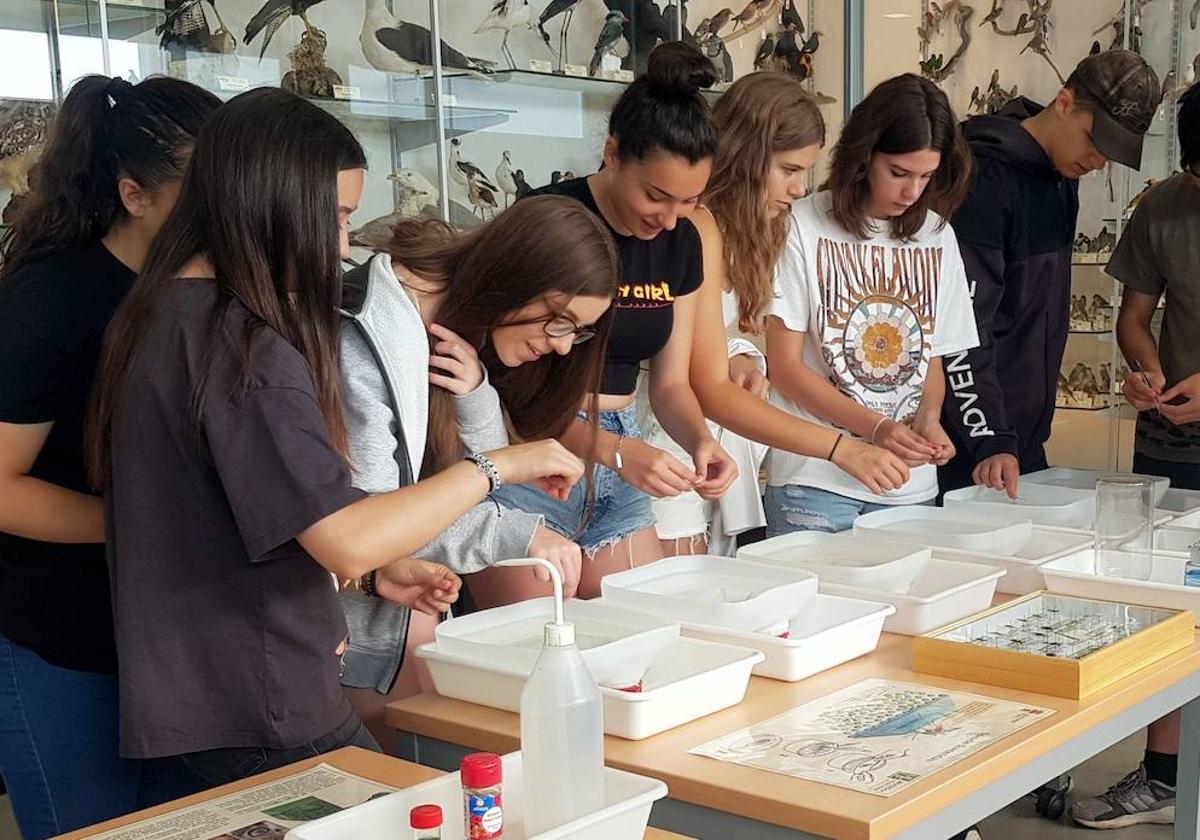 La Universidad de León programa la segunda edición del 'Campus Científico de Verano'