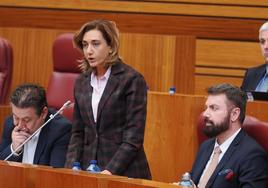 Imagen de Alicia Gallego, procuradora de UPL, en el pleno de las Cortes de este martes.