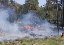 Imagen del incendio forestal de Piedralaves, Ávila