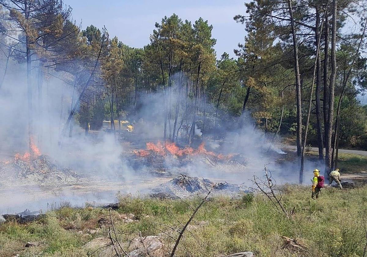 Extinguido Un Incendio En Manzaneda Que Calcin Cinco Hect reas 