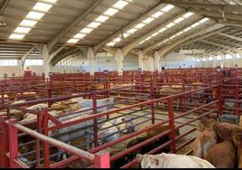 Feria agropecuaria en León.