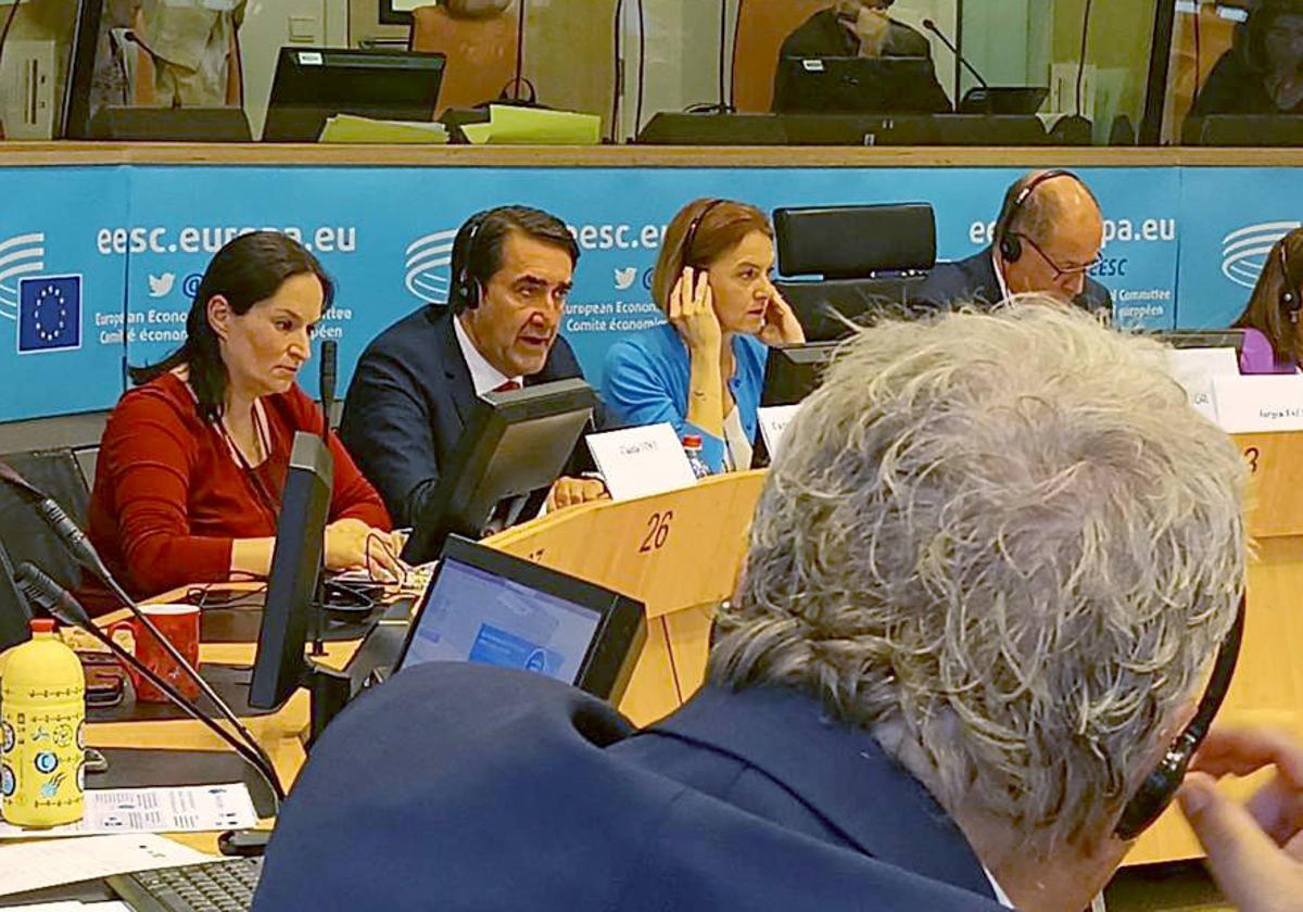 El consejero de Medio Ambiente, Vivienda y Ordenación del Territorio, Juan Carlos Suárez-Quiñones, en el Comité de las Regiones celebrado en Bruselas.