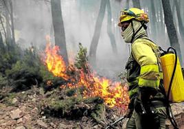 Un bombero forestal sofoca un incendio en una imagen de archivo.