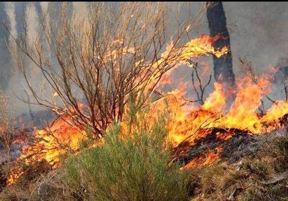 Imagen de archivo de un incendio en León.