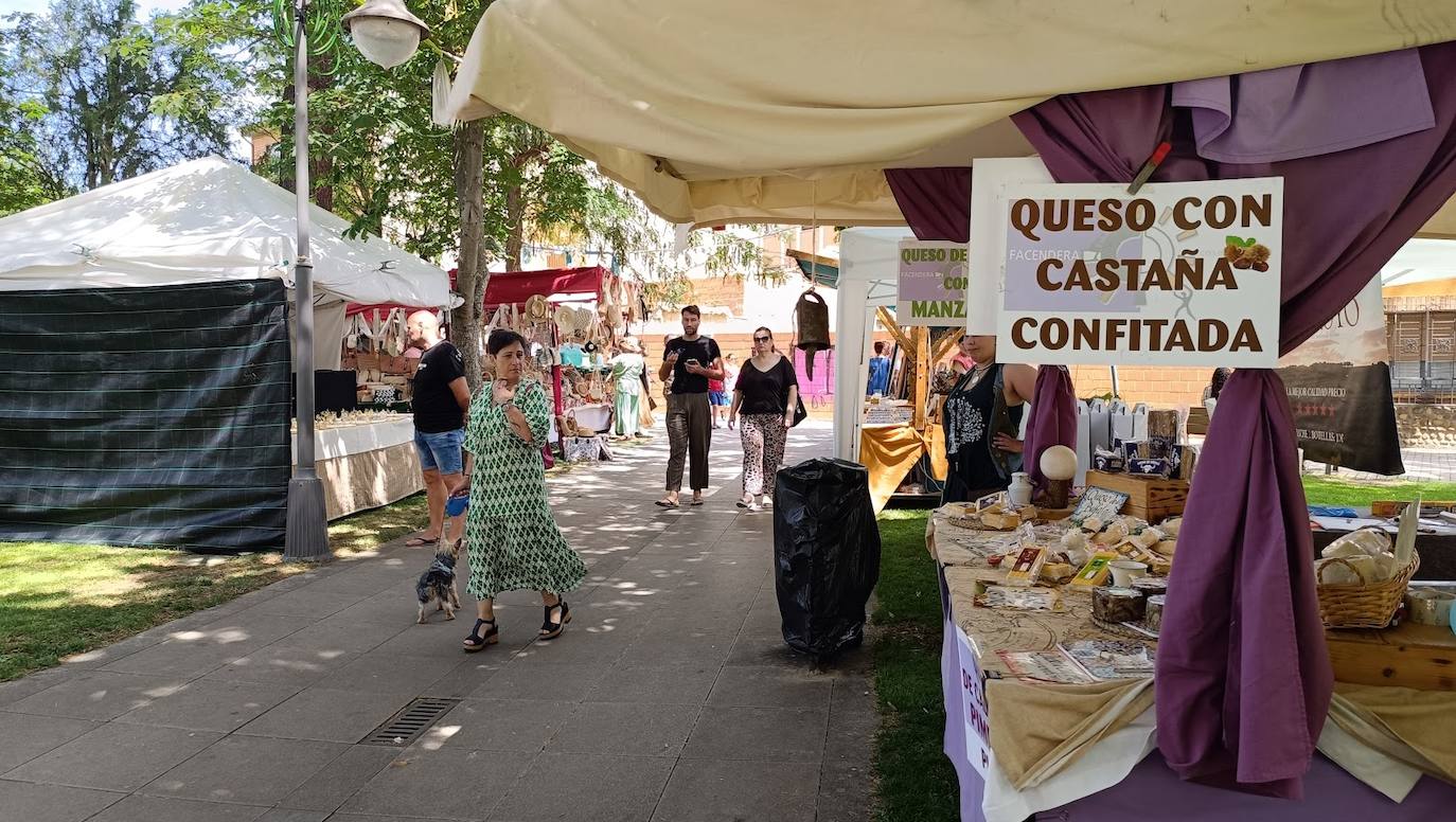 XII Mercado Medieval en Valencia de Don Juan