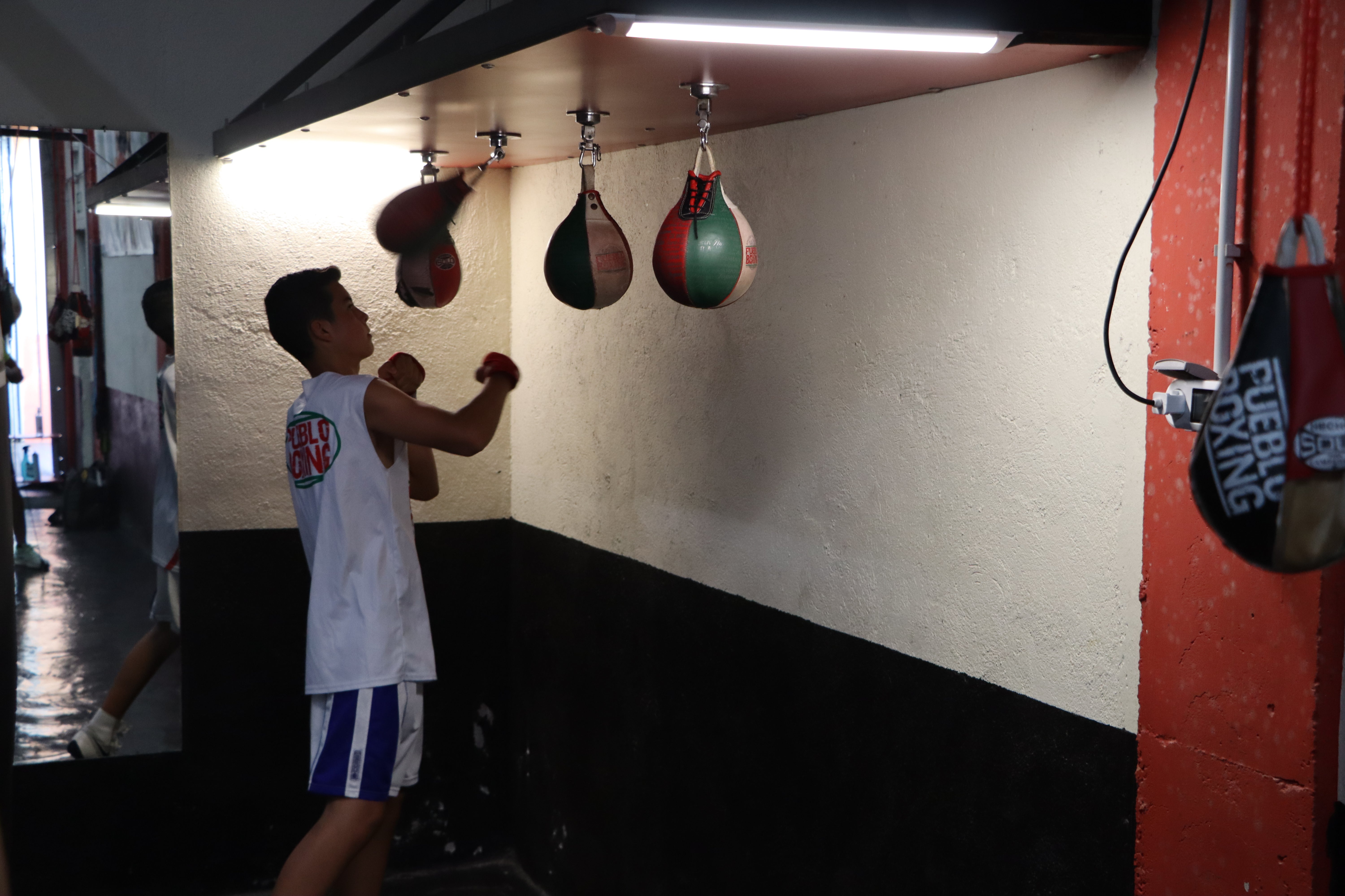 El boxeo se vive en León