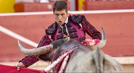 La Junta destina 20.000 euros a dos premios de Estudio e Investigación de la tauromaquia