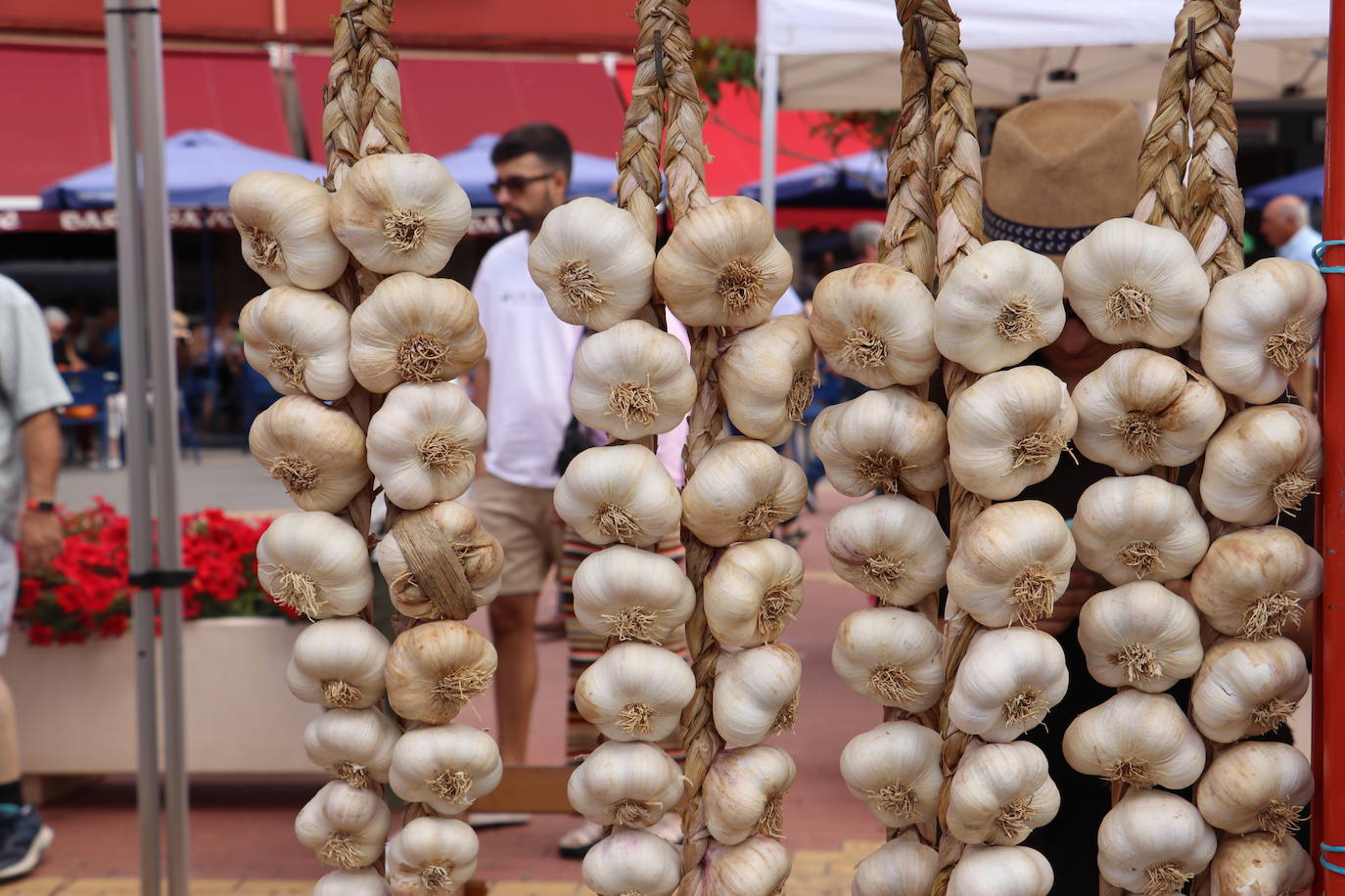 Feria del ajo en Veguellina de Órbigo