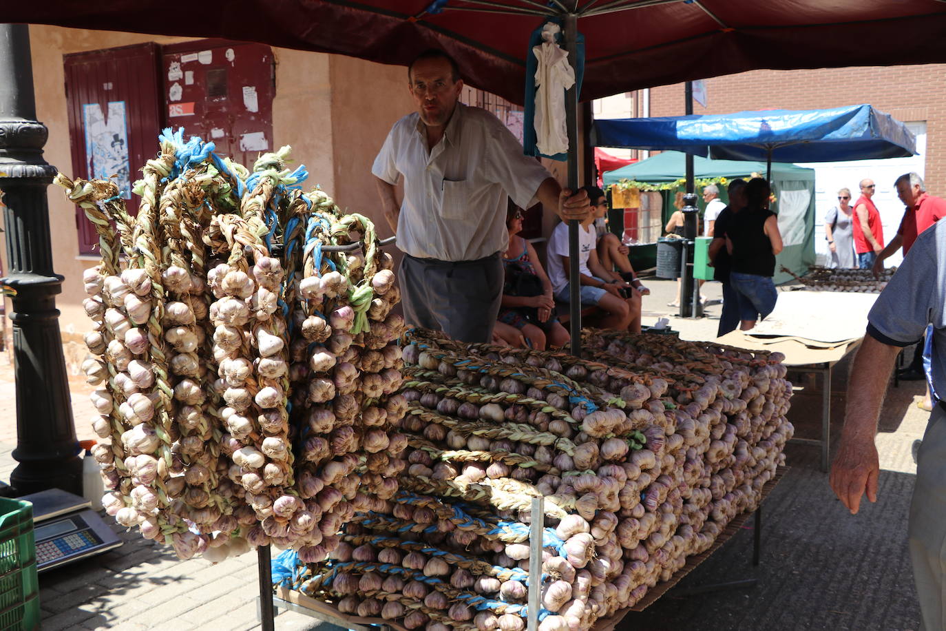 Feria del Ajo en Santa Marina del Rey