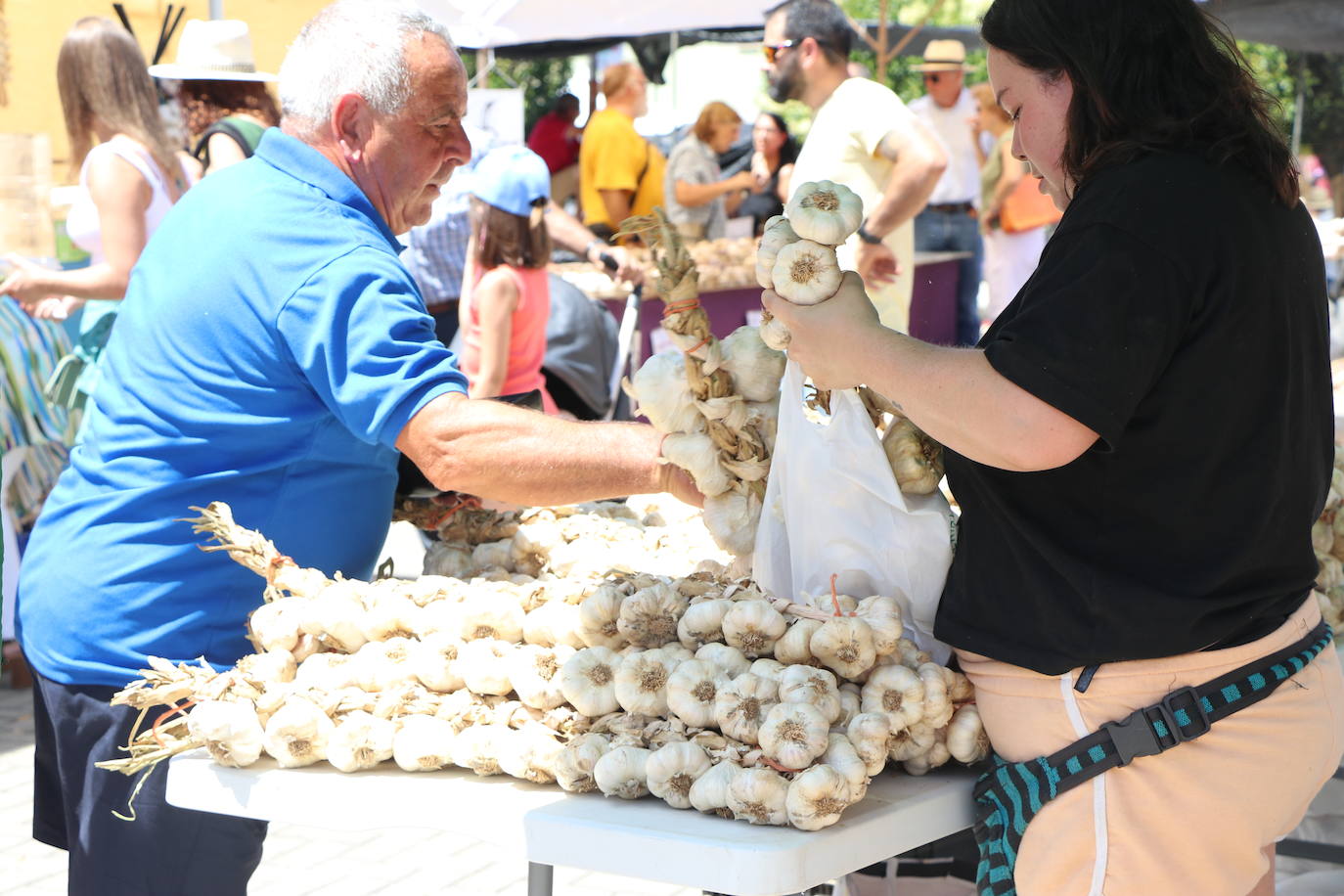Feria del Ajo en Santa Marina del Rey