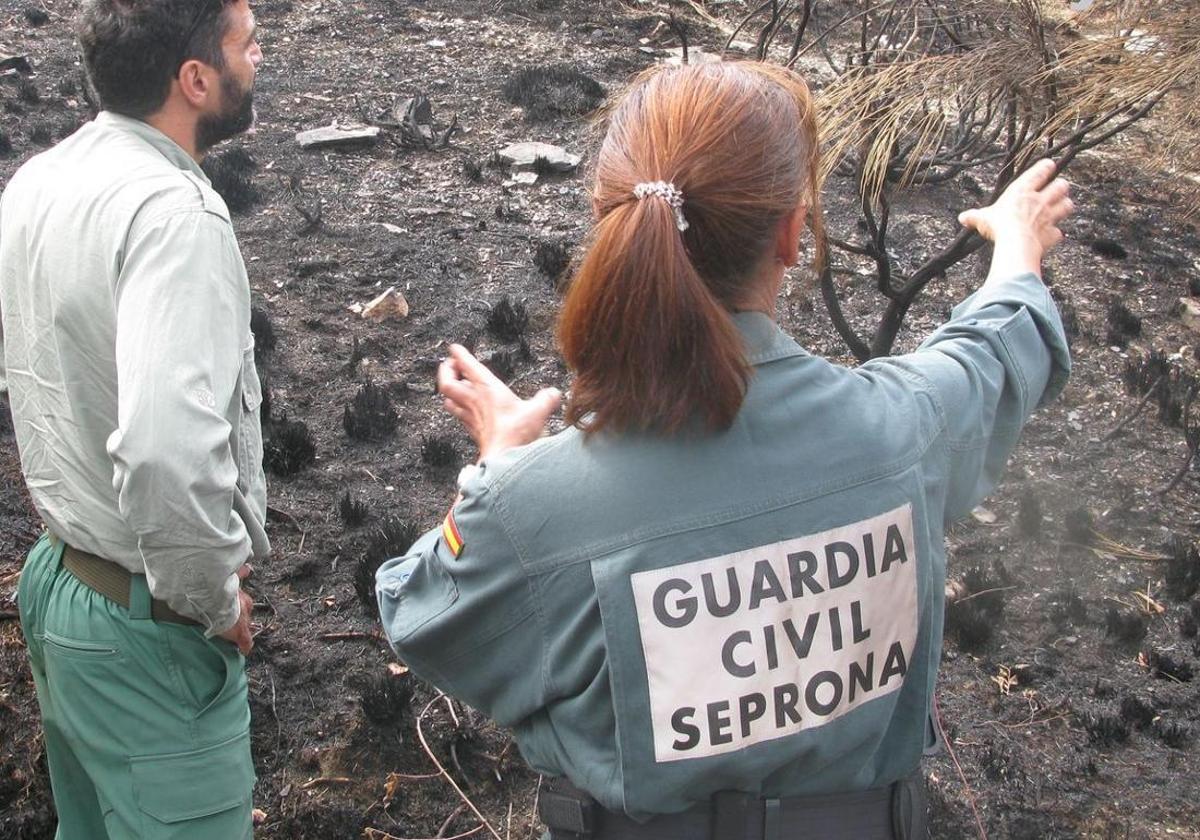 Agentes del Seprona acuden a un incendio declarado en la comunidad.