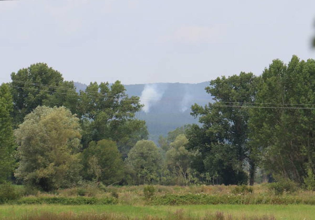 El incendio baja a nivel 0 tras quemar «más de 100 hectáreas» en 24 horas