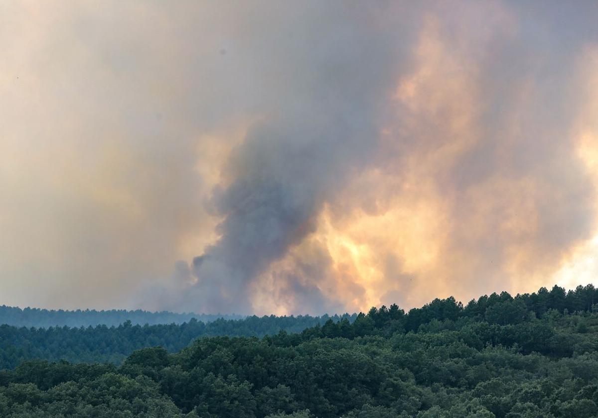 Incendio de Santa Colomba de Somoza que afectó a superficie arbolada.