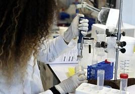 El plan estratégico de investigación e innovación sanitaria de Castilla y León llegará tras el verano.